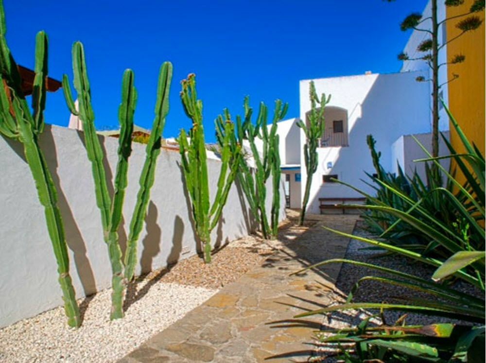 Hostal Dona Lola Marina Zahara de los Atunes Εξωτερικό φωτογραφία